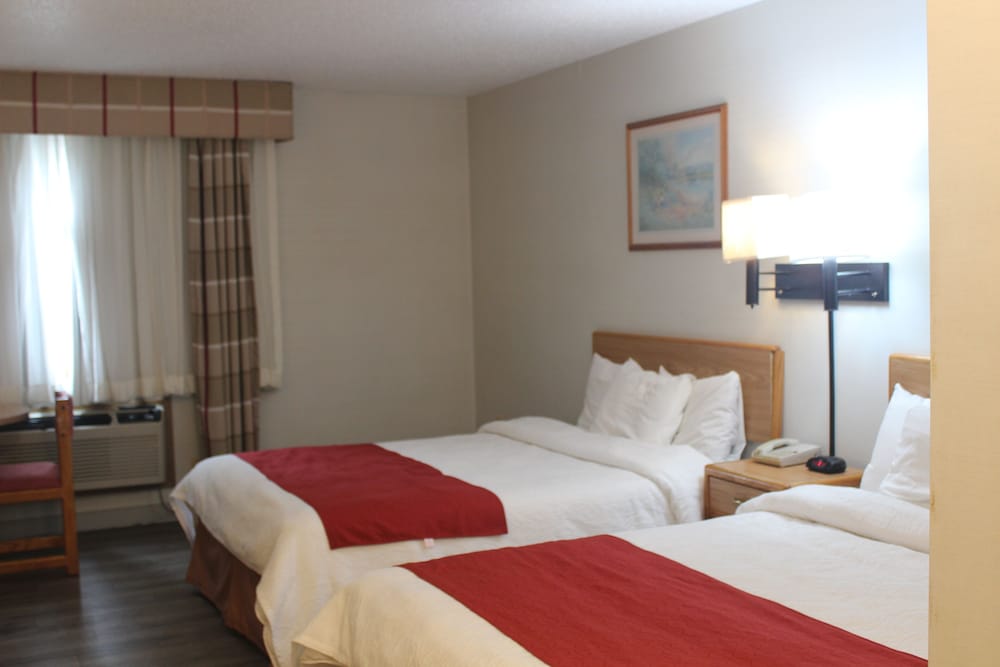 Room, 2 Queen Beds, Pets Allowed photo 2