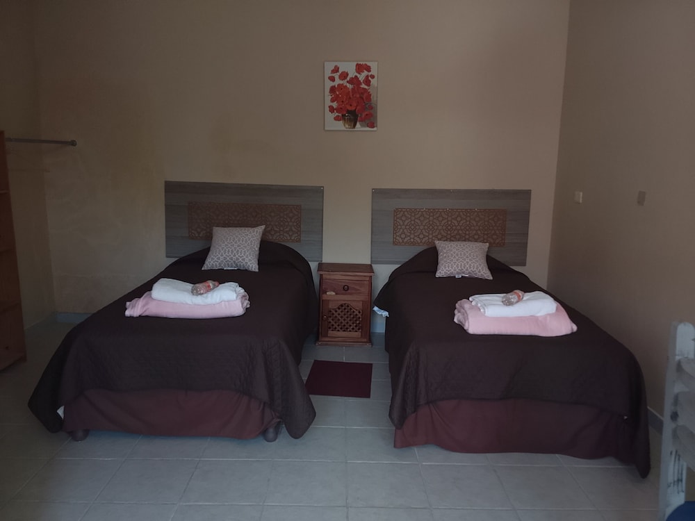 Basic Twin Room, Garden View