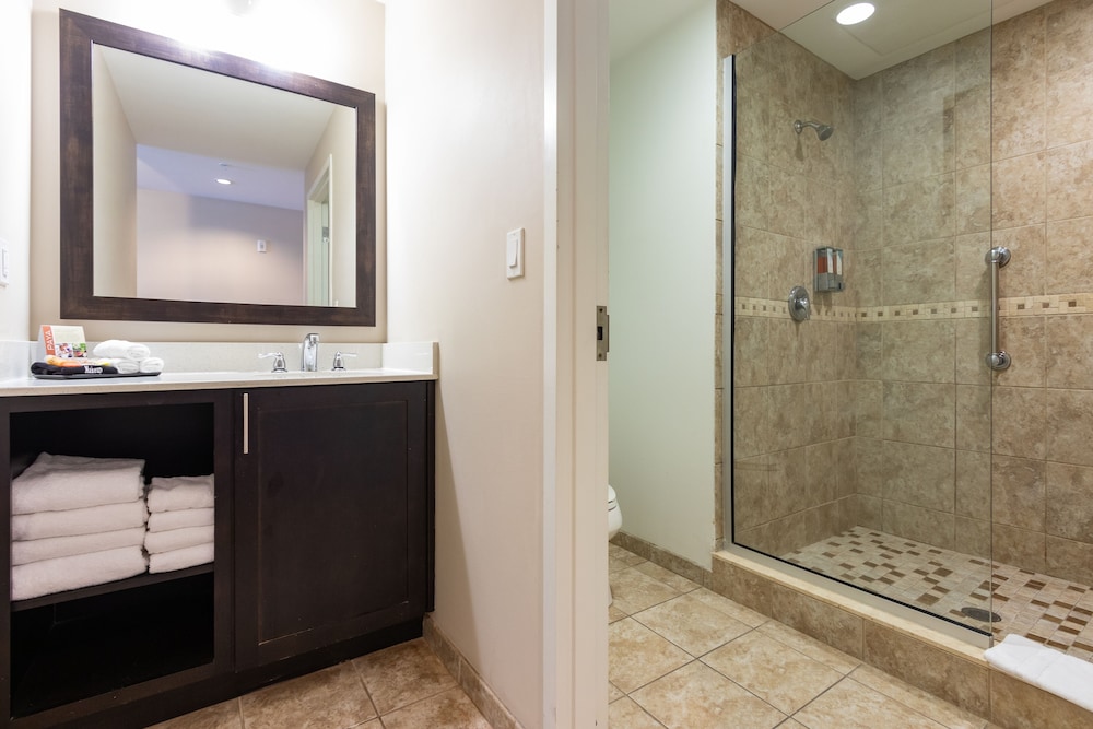 Standard Single Room, 1 King Bed, Accessible photo 2