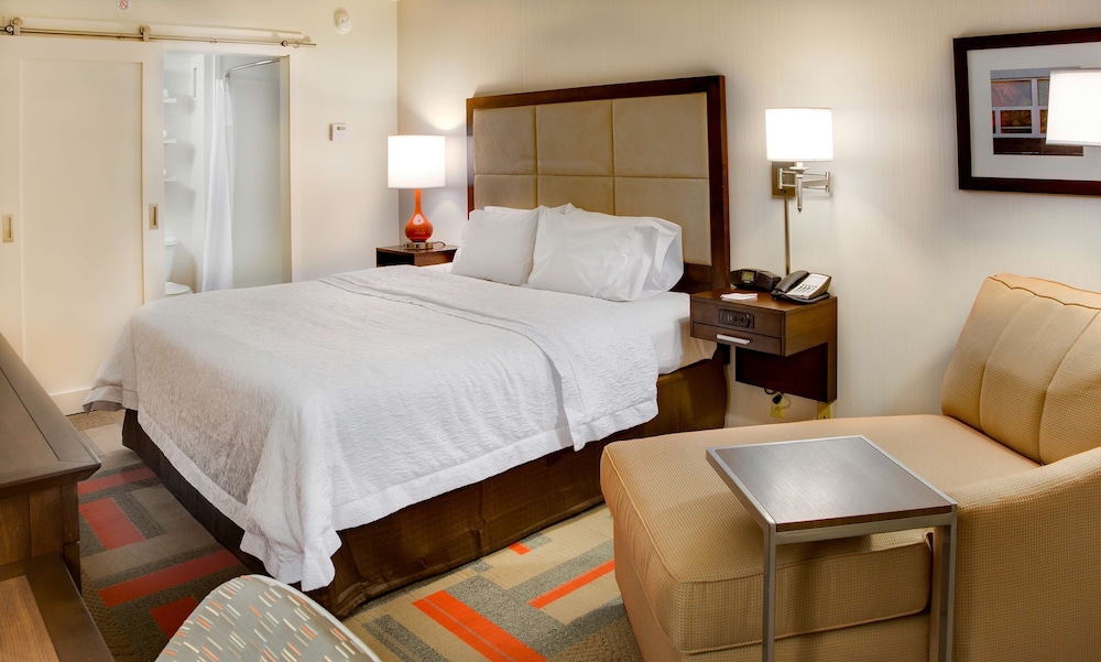 One King Bed, Non-Smoking photo 3