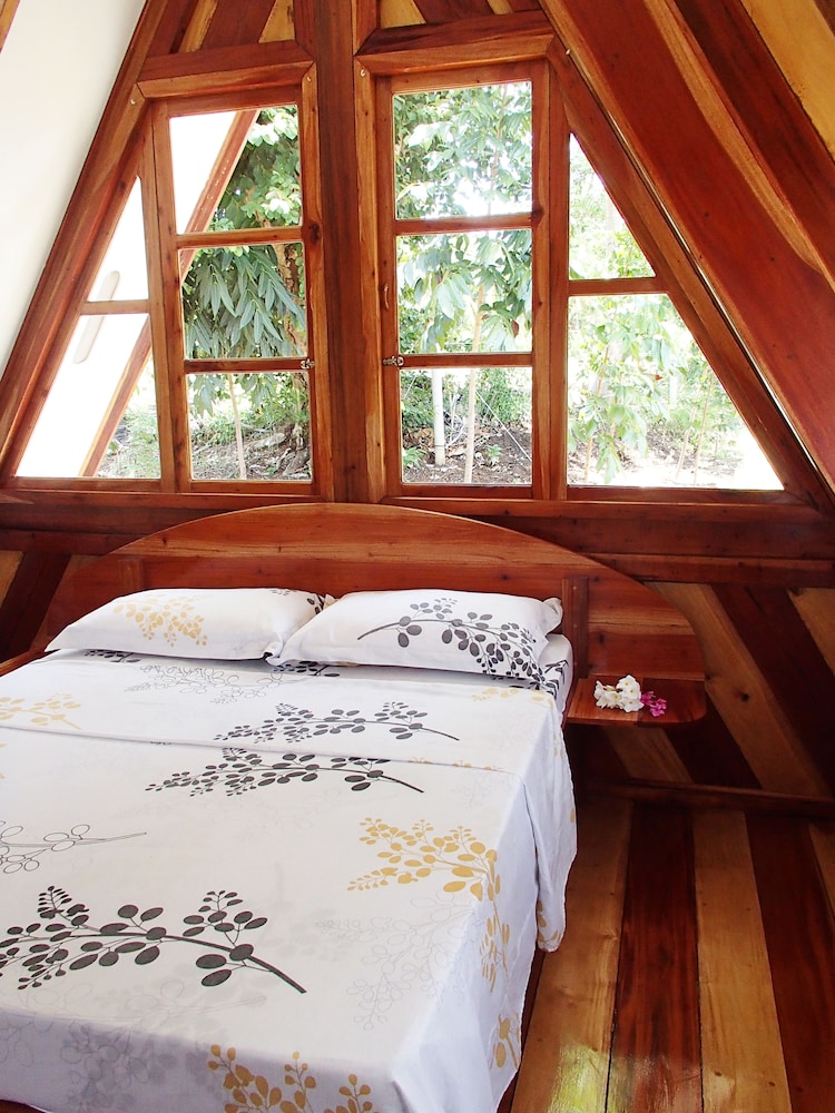 Deluxe Room photo 2