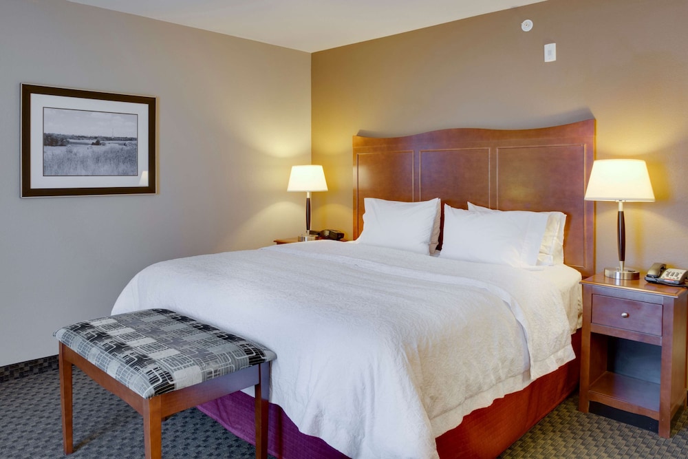 Room, 1 King Bed, Accessible