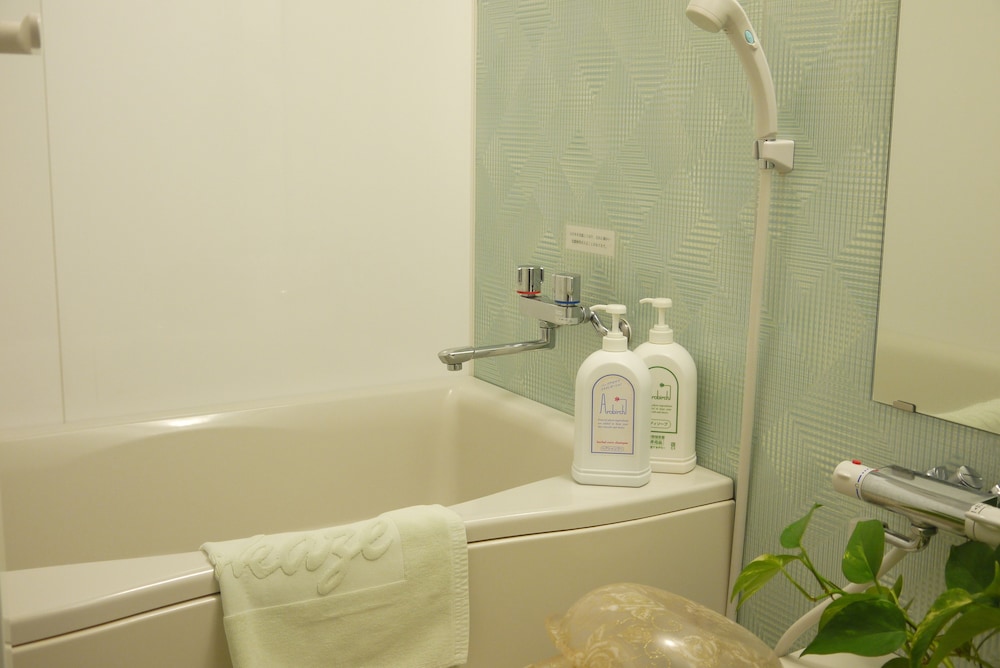 Deluxe Twin Room, Non Smoking (Tatami) photo 3