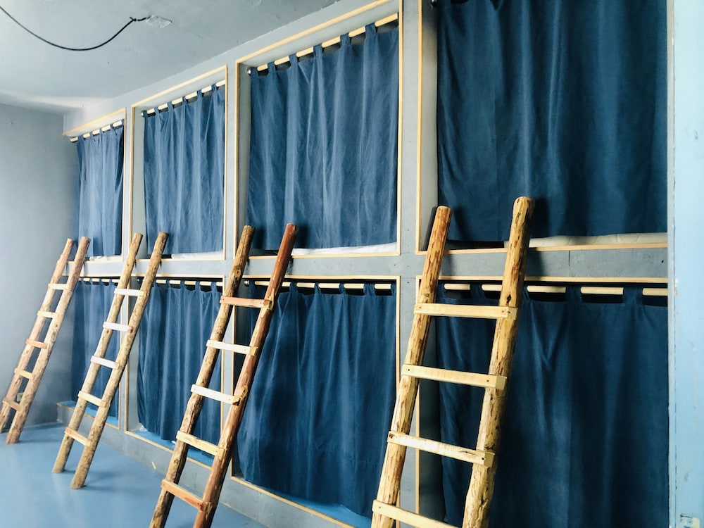 Basic Shared Dormitory photo 2