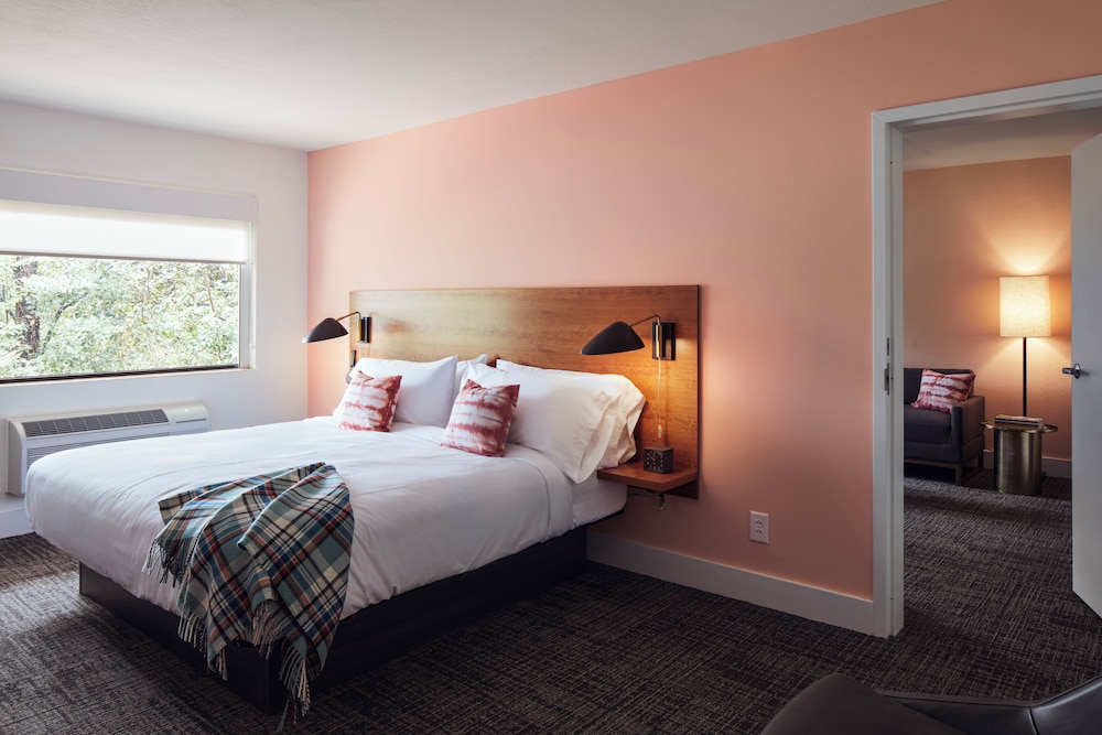 Suite, 1 King Bed with Sofa bed