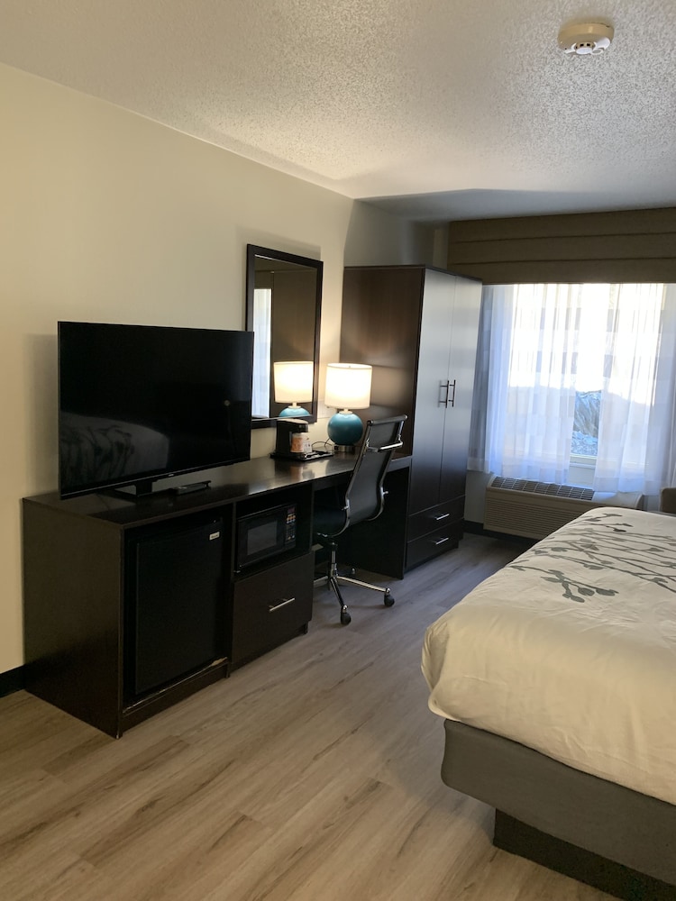 Room, 1 King Bed, Non Smoking - Photo 7