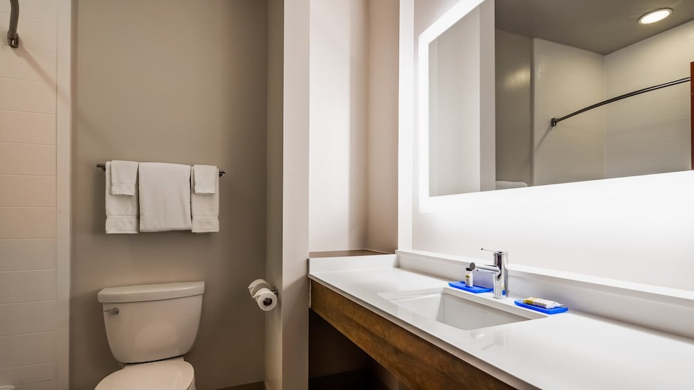 Holiday Inn Express & Suites Detroit - Farmington Hills by IHG, Billede 2