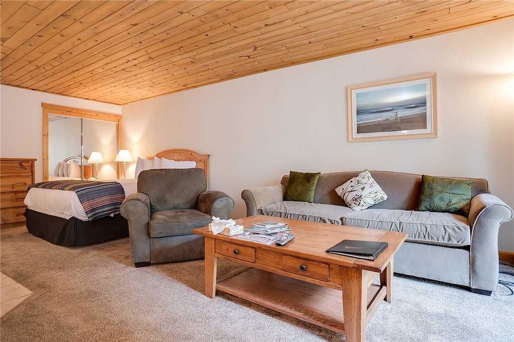 Studio, 1 Queen Bed with Sofa bed (Scandinavian Lodge and SL101 - Cozy S) photo 3