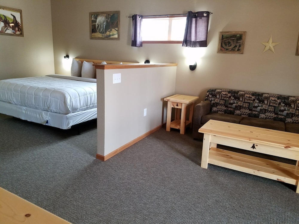 Room, 1 King Bed with Sofa bed photo 2