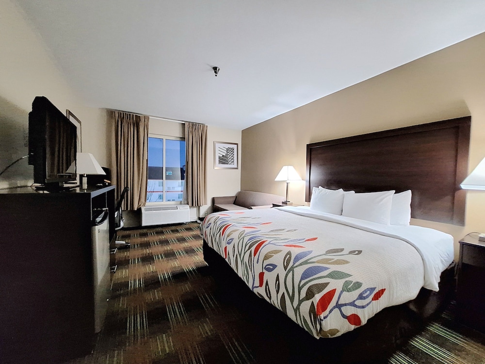 Room, 1 King Bed, Accessible - Photo 2