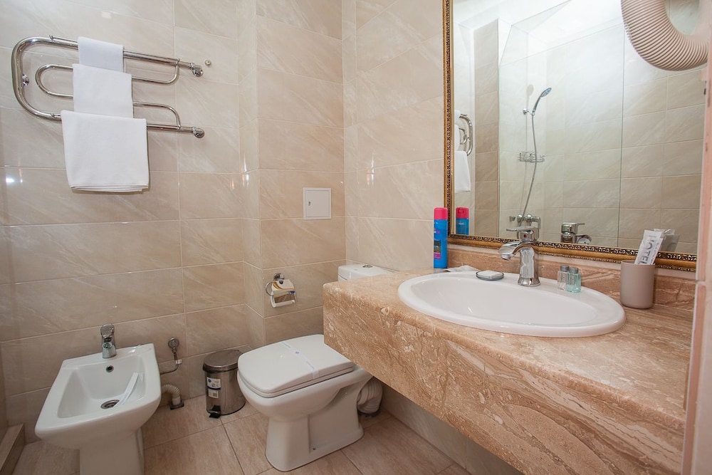 Business Double or Twin Room photo 3