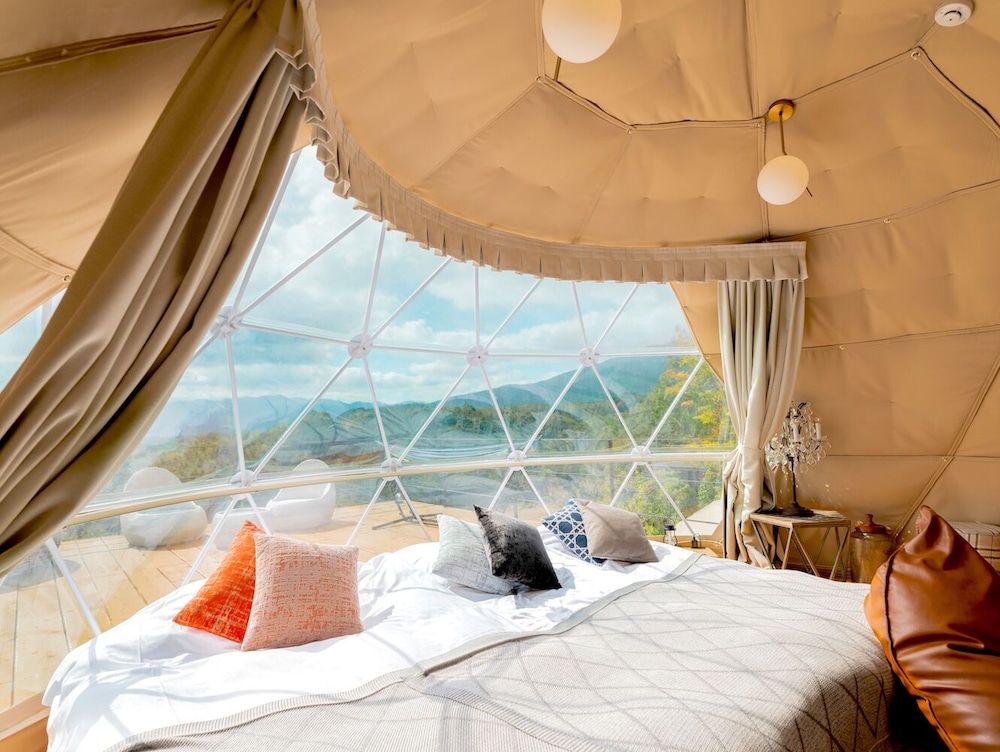 Oval Tent (2-7 Guests) photo 1
