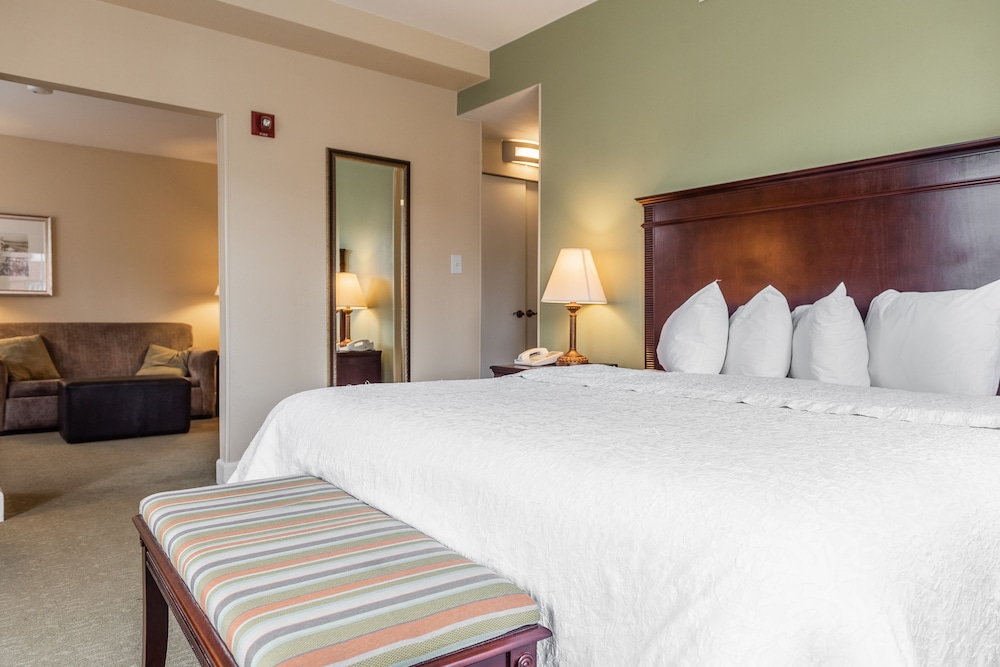 Suite, 1 King Bed, Non Smoking - Photo 1