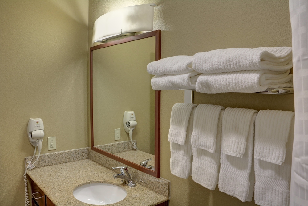 Suite, 1 Bedroom - Photo 7