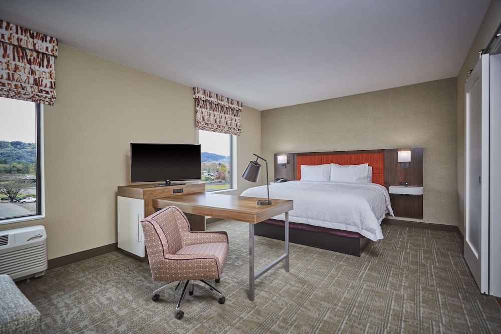 Suite, 1 King Bed, Accessible (Hearing) photo 1