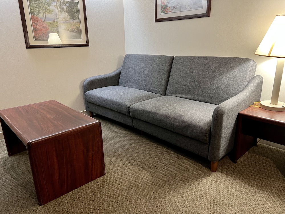 Suite, 1 Queen Bed photo 2