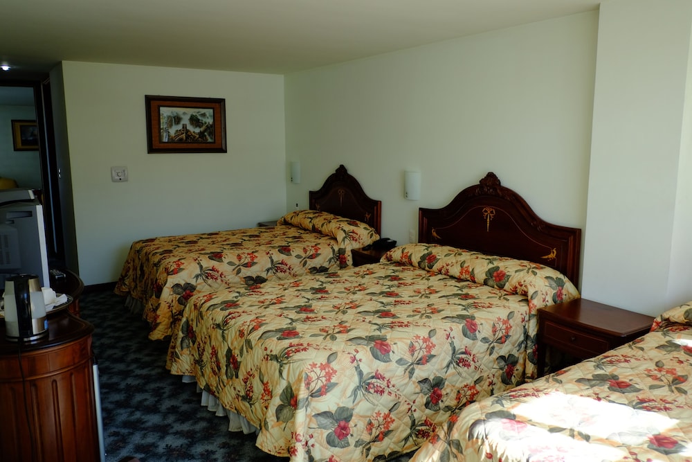 Basic Triple Room