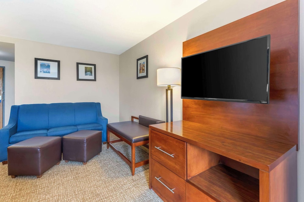 Suite, 1 King Bed with Sofa bed, Non Smoking - Photo 3
