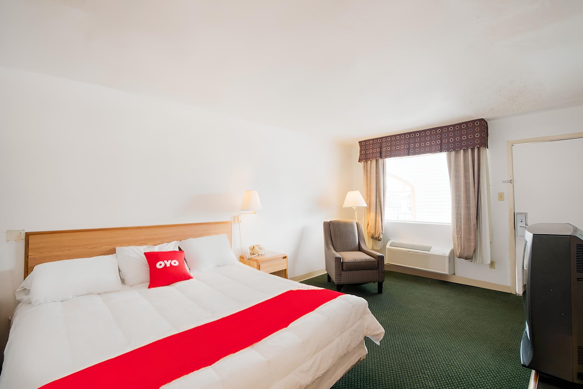 Room, 1 King Bed photo 1