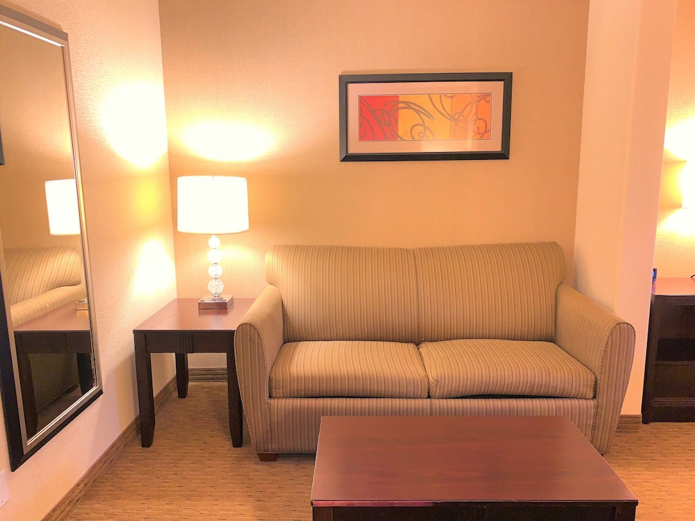 Suite, 1 King Bed, Accessible (Communications) - Photo 1