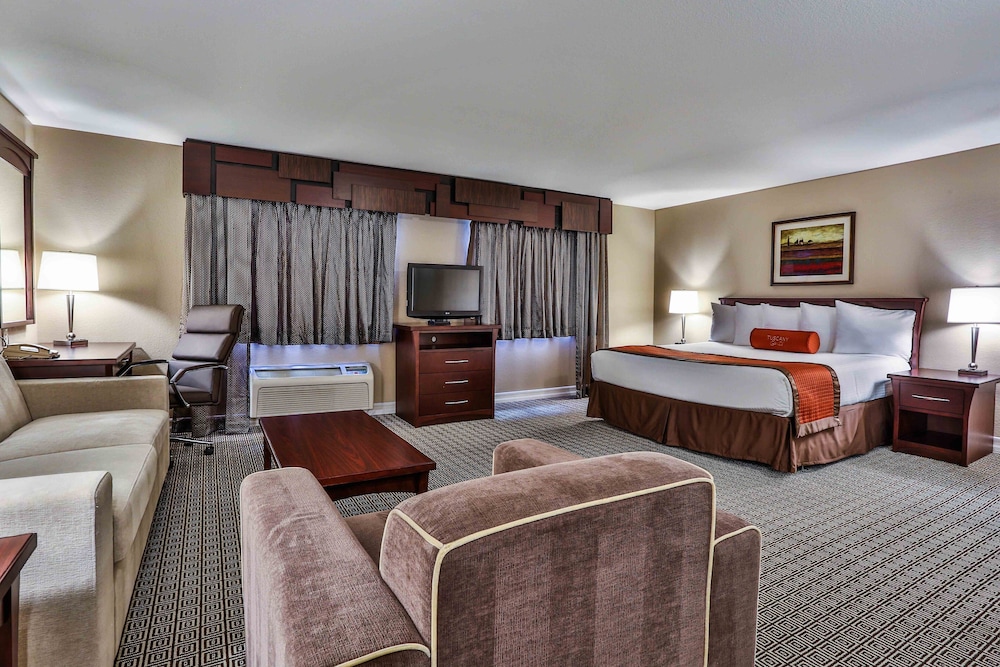 Executive Studio Suite