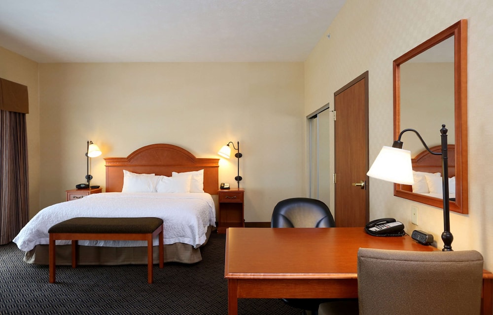 Suite, 1 King Bed, Accessible, Non Smoking - Photo 7