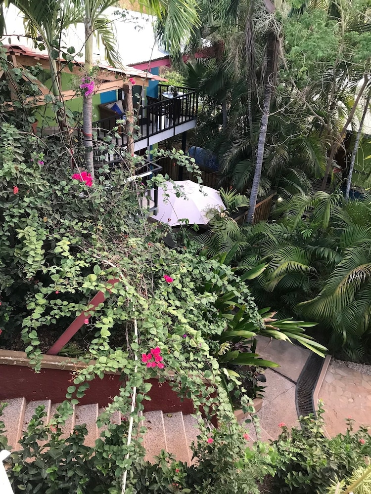 Twin Room, 1 Bedroom, Pool View photo 2