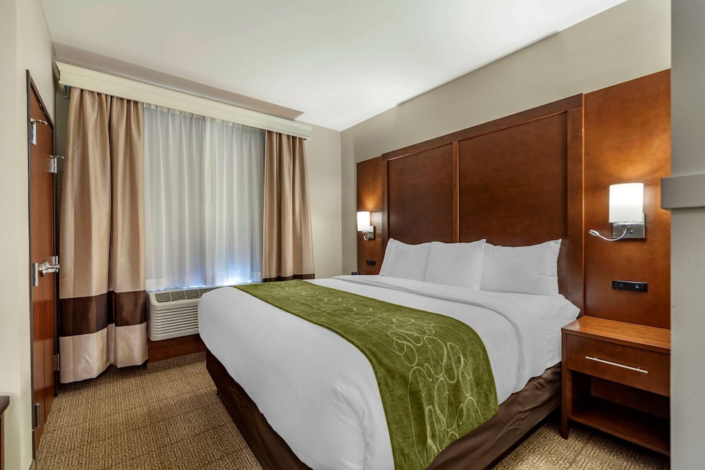 Standard Single Room, 1 King Bed with Sofa bed, Non Smoking