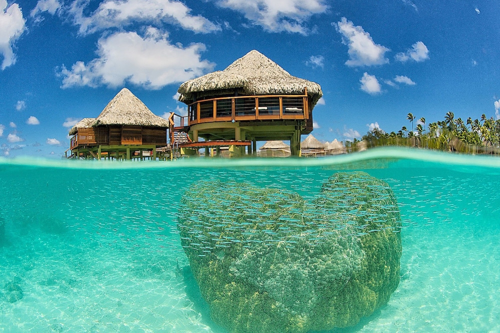 Overwater Bungalow photo 3