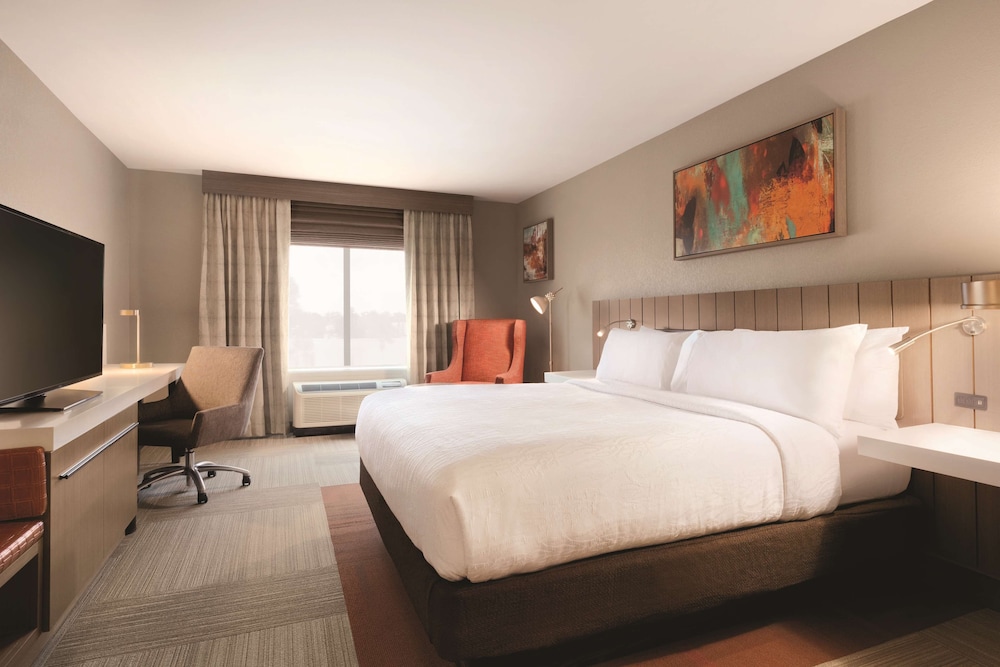 Room, 1 King Bed, Non Smoking photo 1