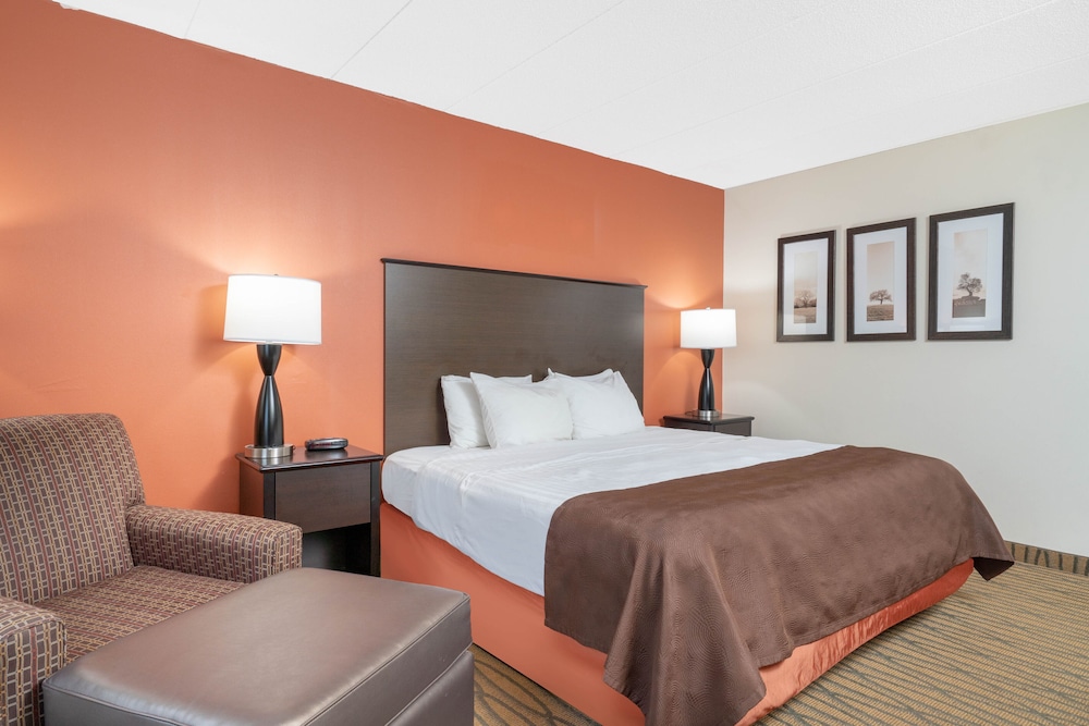 Deluxe Room, 1 King Bed photo 1
