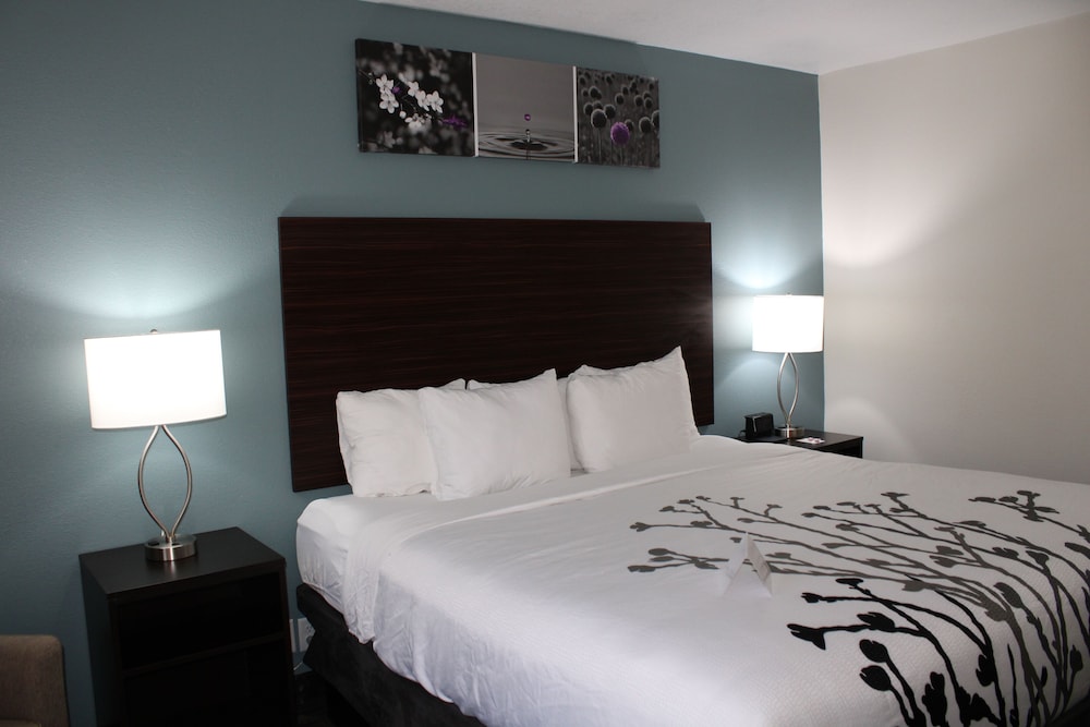 Room, 1 King Bed, Accessible, Non Smoking (Mobility, Roll-in Shower) - Photo 8