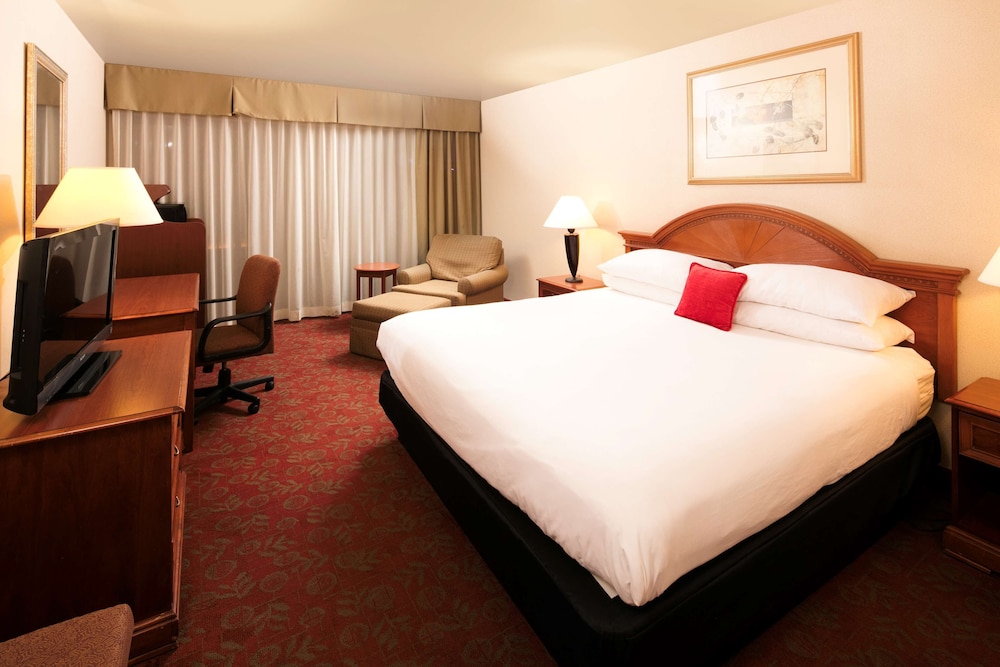 Standard Room, 1 King Bed, Accessible, Non Smoking photo 2