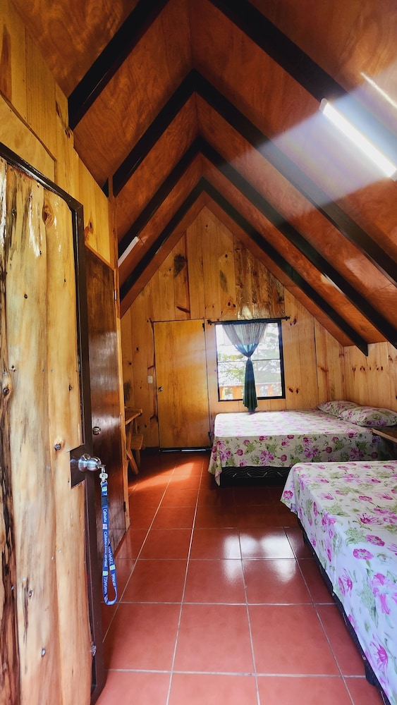 Traditional Cabin, Patio, Garden View photo 3