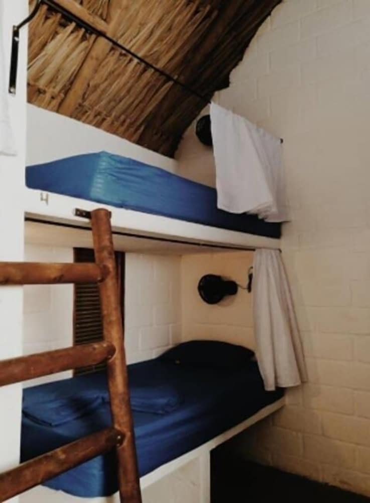 Comfort Shared Dormitory, Multiple Beds, Garden View (8 pax) photo 2