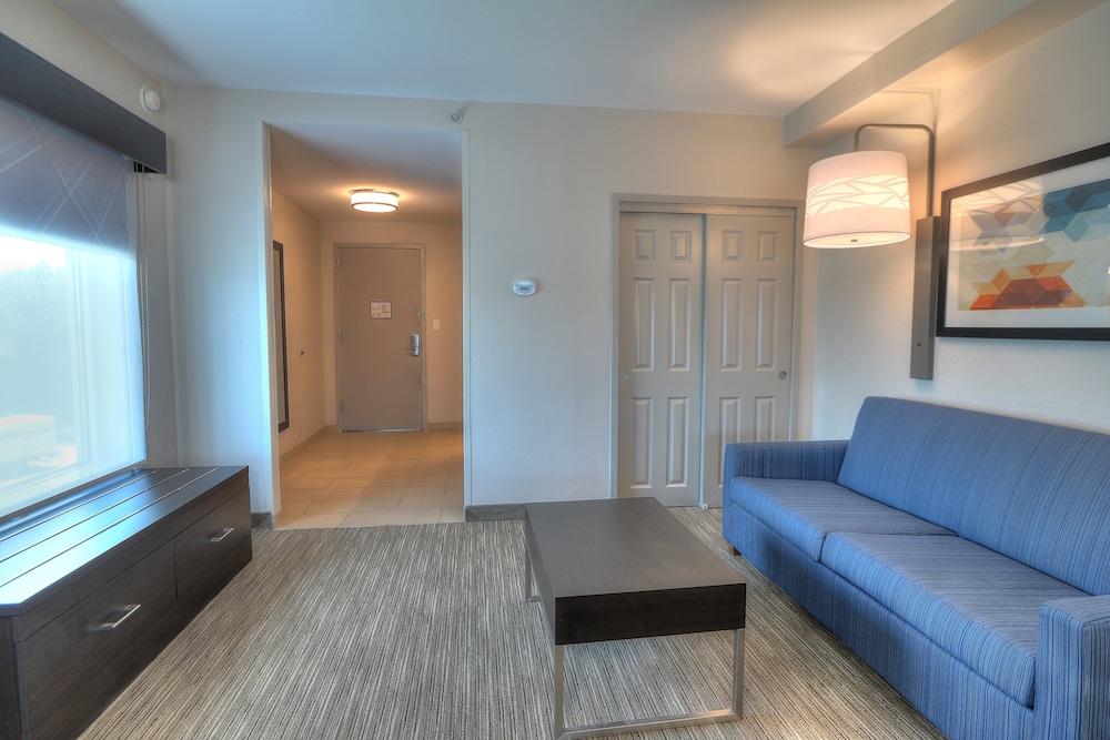 Suite, 1 King Bed - Photo 1