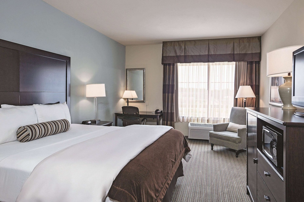 Room, 1 King Bed, Accessible (Airport View) - Photo 1
