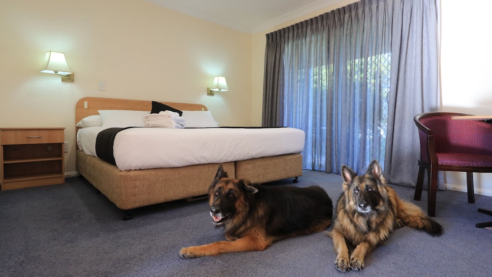 Executive King Spa Room photo 2