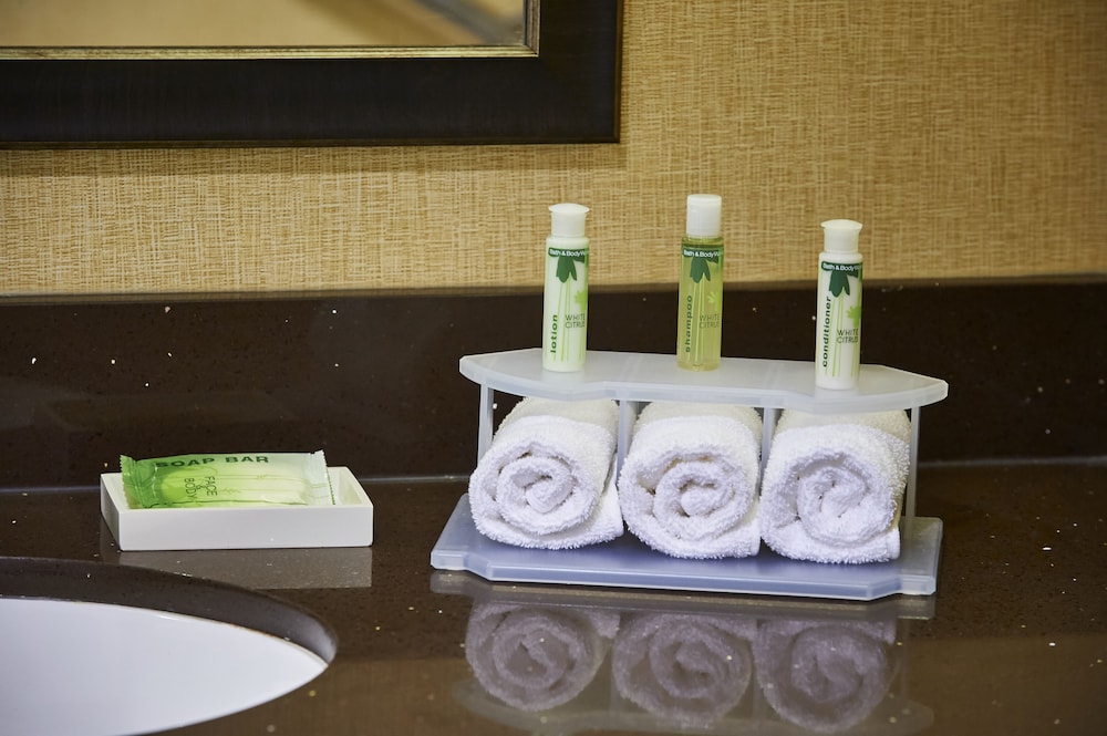 Suite, 1 King Bed, Jetted Tub photo 3