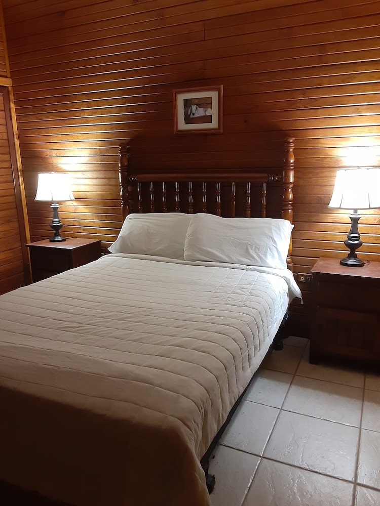 Deluxe Room photo 1