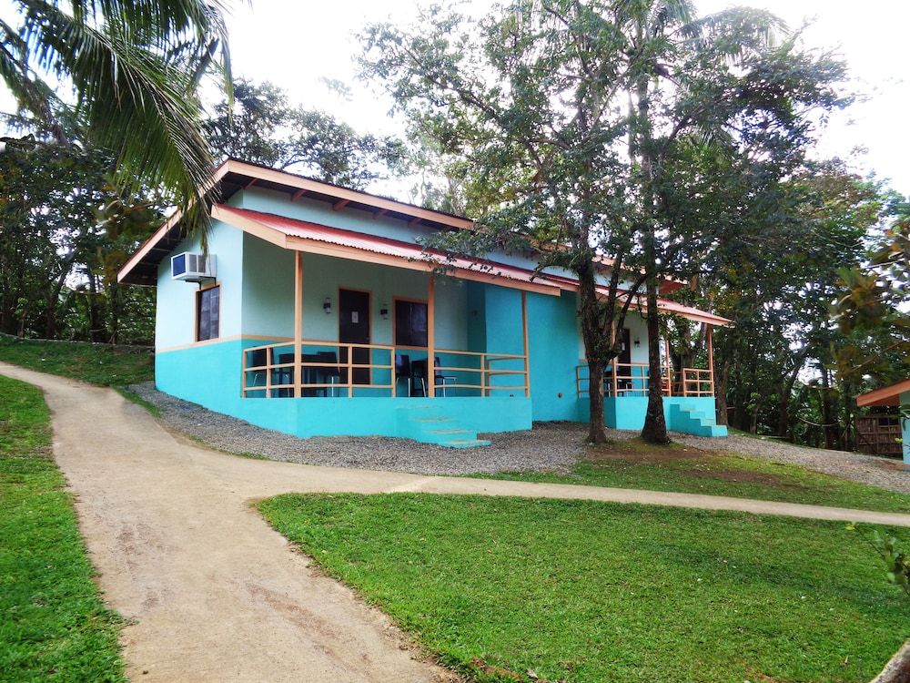 Standard Shared Dormitory photo 2