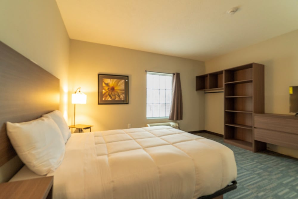 Room, 1 Queen Bed, Non Smoking (Accessible) photo 3