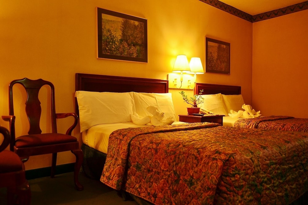 Superior Room, 2 Double Beds photo 1
