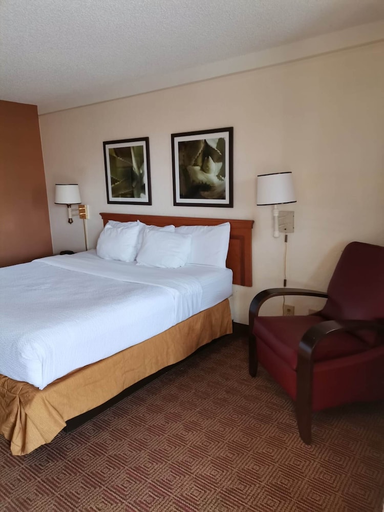Super 8 by Wyndham San Antonio Near SeaWorld Ingram Park, Foto 3