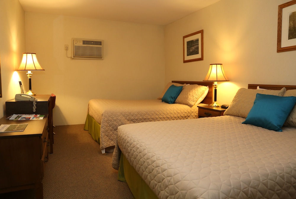 Family Double Room, Multiple Beds photo 3