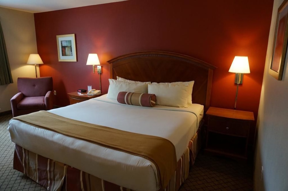 Basic Single Room photo 1