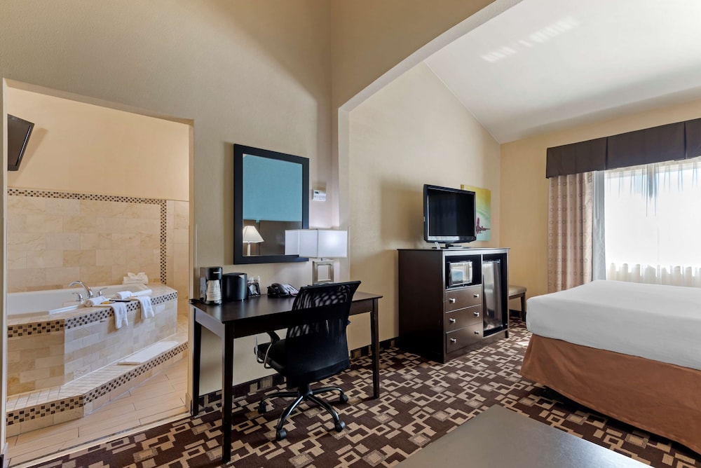 Standard Room, 1 King Bed, Accessible, Jetted Tub (with Single Sofabed) - Photo 4