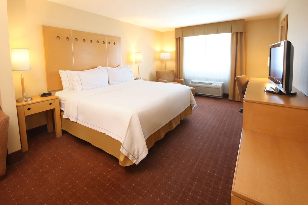 Suite, 1 Bedroom - Photo 3