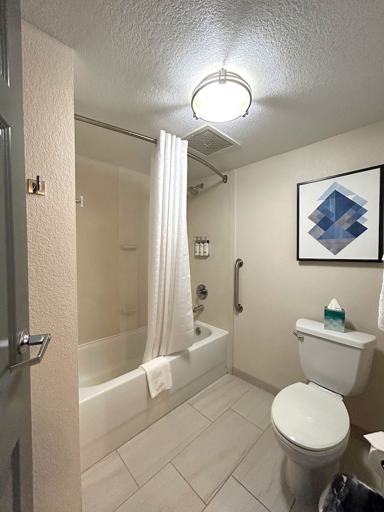 Suite, 1 Bedroom - Photo 16