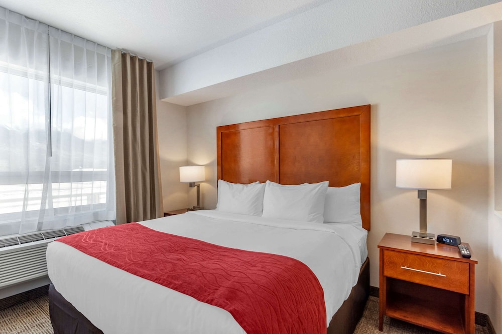 Suite, 1 King Bed with Sofa bed, Non Smoking (Efficiency) - Photo 6